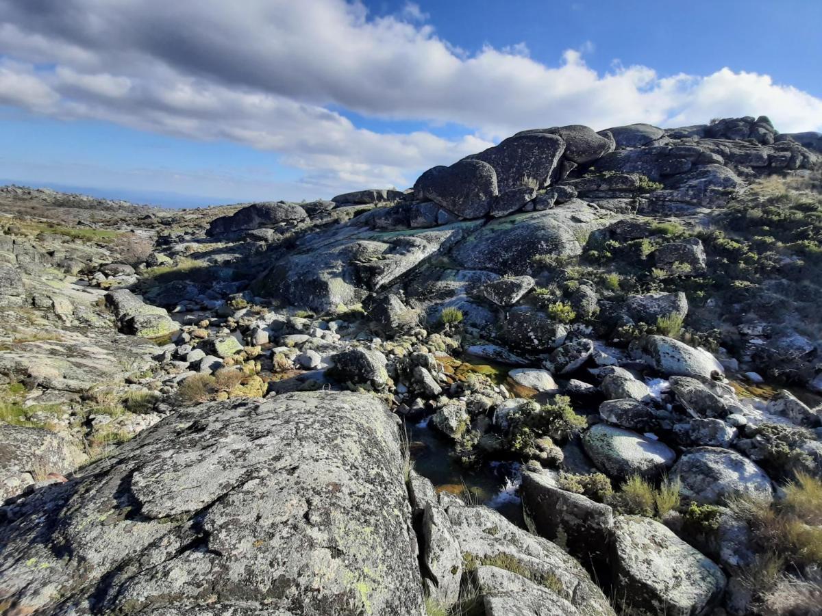 Casa Da Bela Vista - Serra Da Estrela Covilha Ngoại thất bức ảnh