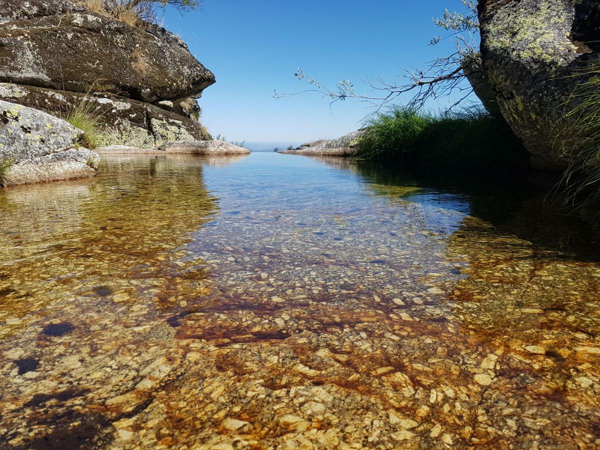 Casa Da Bela Vista - Serra Da Estrela Covilha Ngoại thất bức ảnh